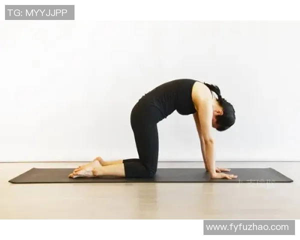 瑜伽用品精选推荐,助力身心放松与健康,提升练习效果的必备工具与配件