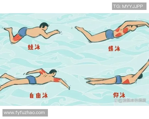 自由泳技巧全面解析 提升泳姿速度与效率的关键方法与训练策略